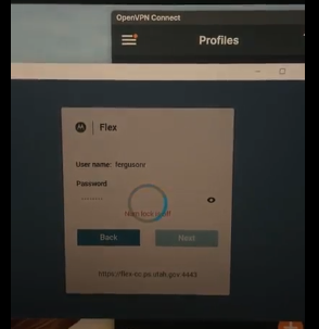 Flex does not launch on Windows 11 after Windows Updates from 10/14 ...