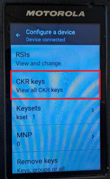 How to verify the presence of a software AES key after keyloading an ...