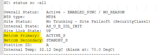 Identifying the active DIMETRA Express server